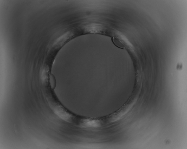 X0000100310073200807031156