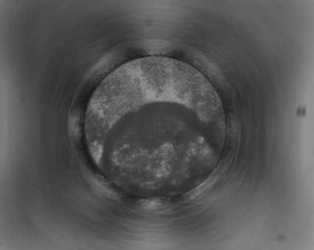 X0000100310074200807031157
