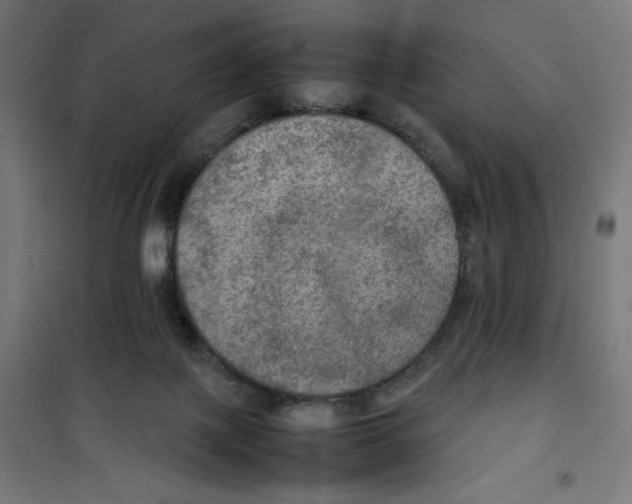 X0000100310075200807031157