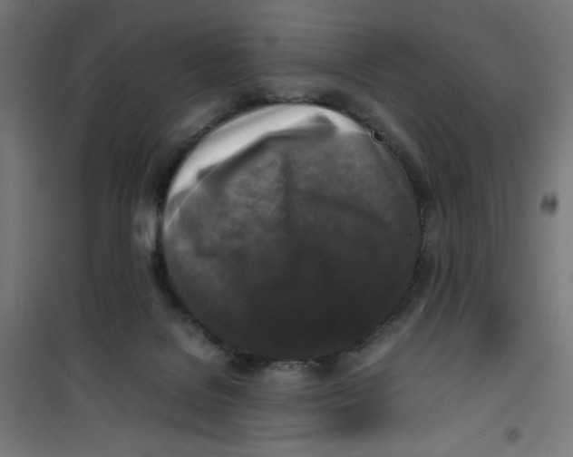 X0000100310076200807031157