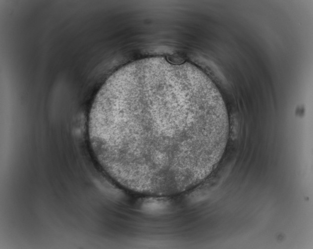 X0000100310077200807031157