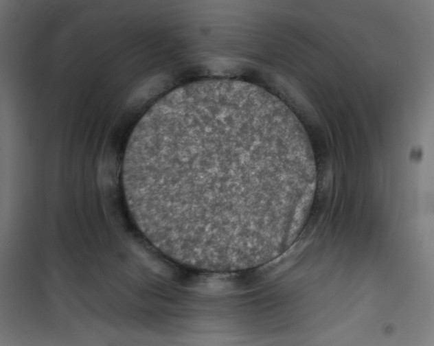 X0000100310078200807031157