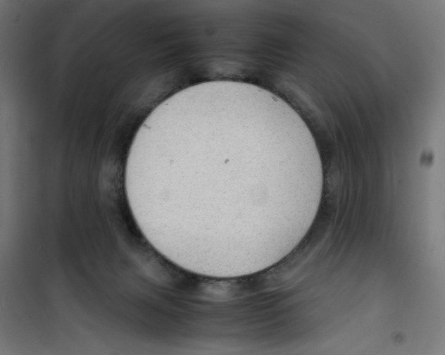 X0000100310079200807031157