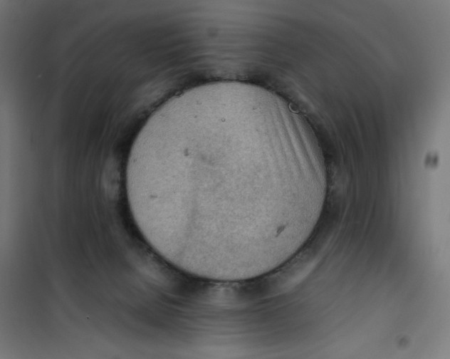 X0000100310080200807031157