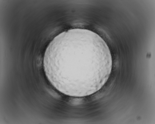 X0000100310081200807031157