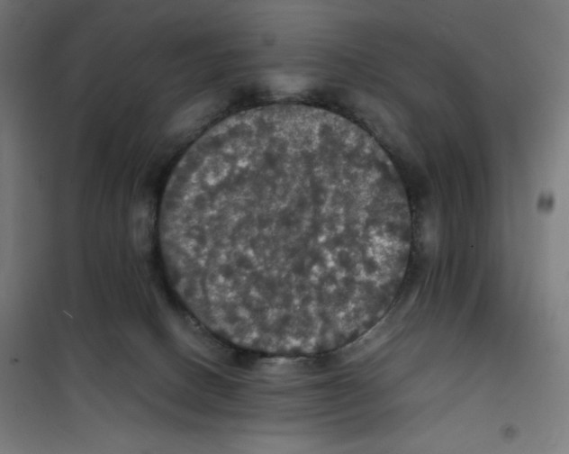 X0000100310082200807031157