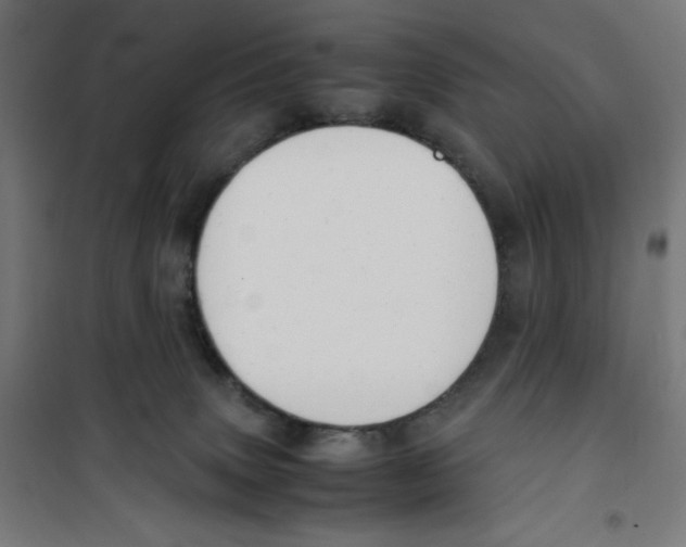 X0000100310083200807031157