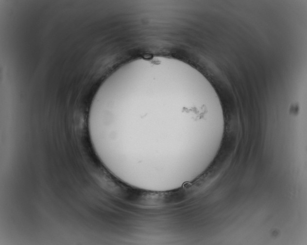 X0000100310084200807031157