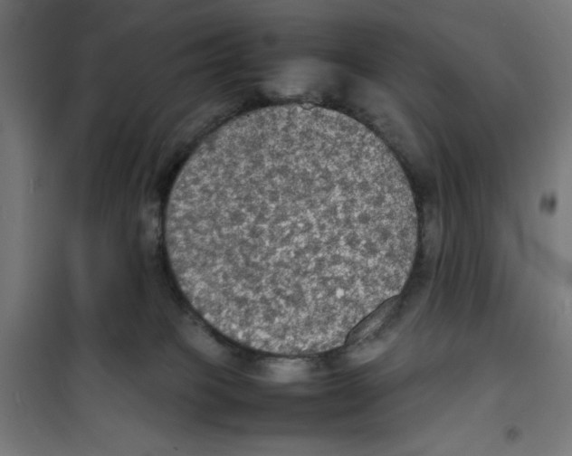 X0000100310085200807031157