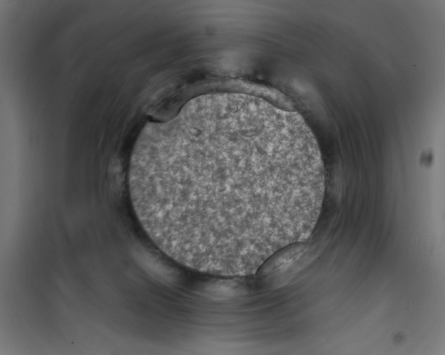 X0000100310086200807031157