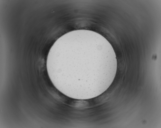 X0000100310087200807031157