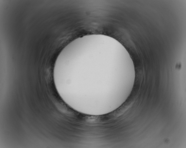 X0000100310088200807031157