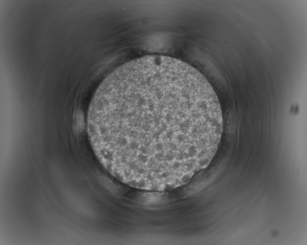 X0000100310089200807031157