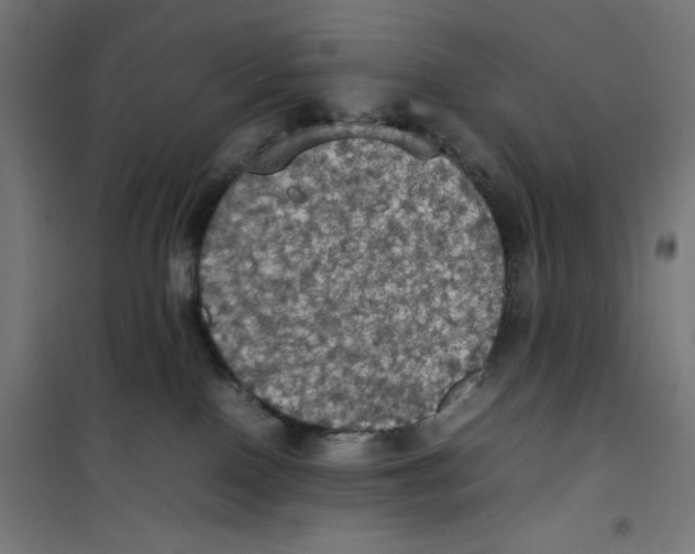 X0000100310090200807031157