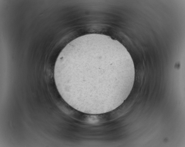 X0000100310091200807031157