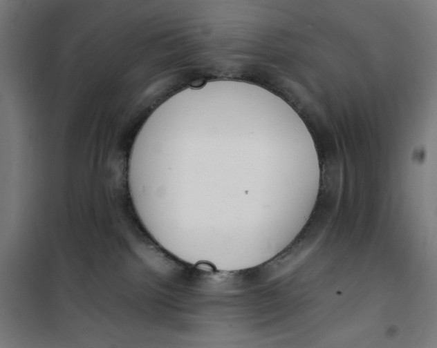 X0000100310092200807031157