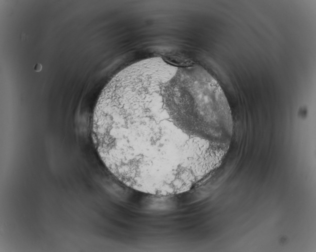 X0000100310093200807031157