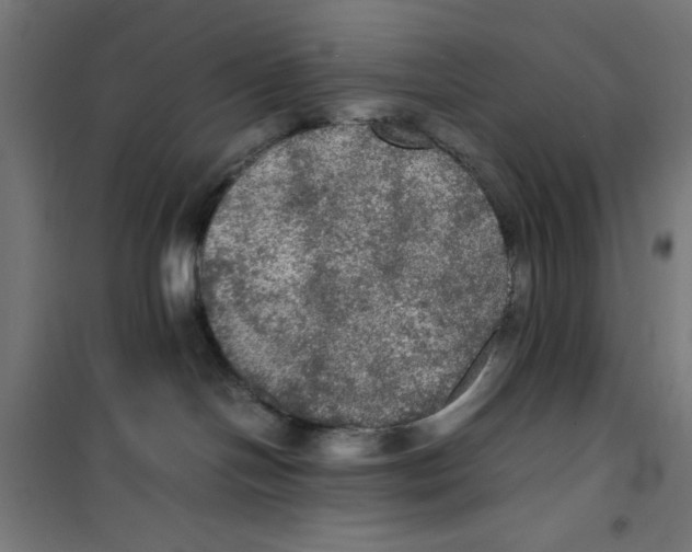 X0000100310094200807031157