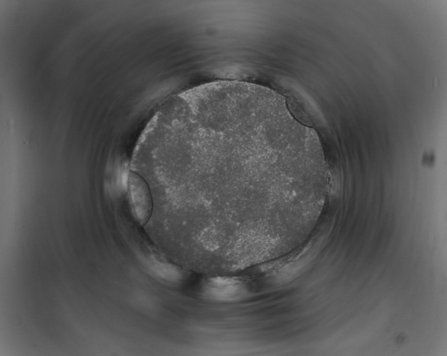 X0000100310095200807031157