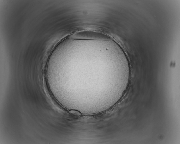 X0000100310097200807031156