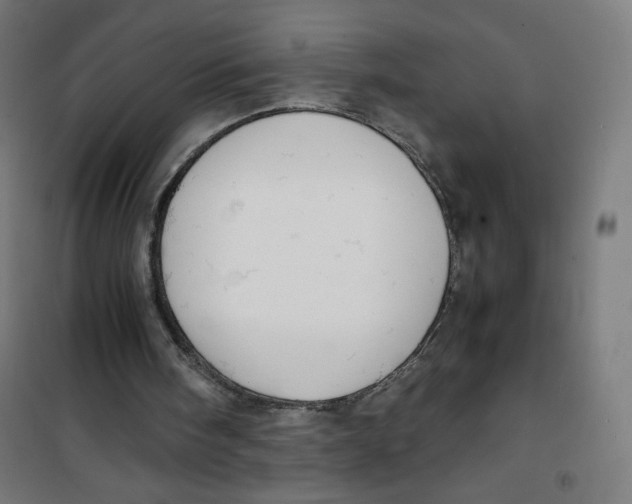 X0000100310098200807031156