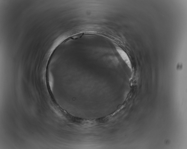 X0000100310099200807031156
