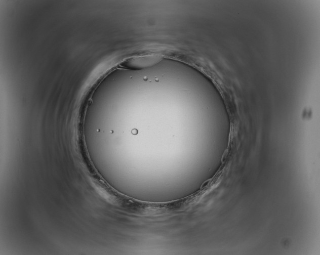X0000100310101200807031156