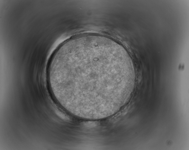 X0000100310102200807031156