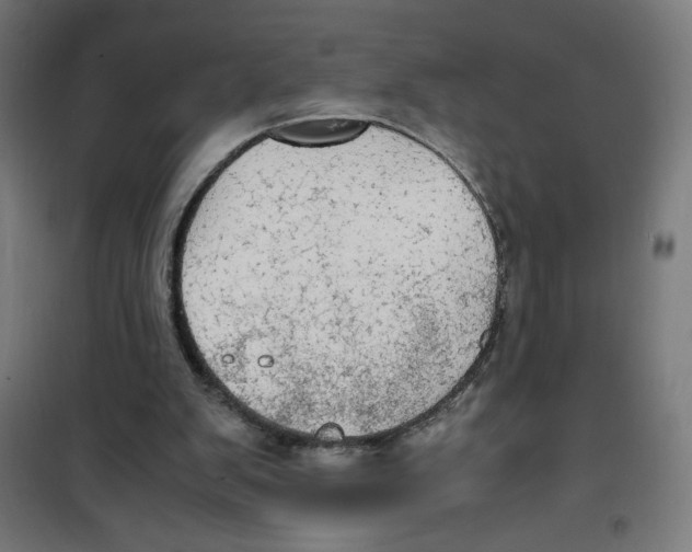 X0000100310103200807031156
