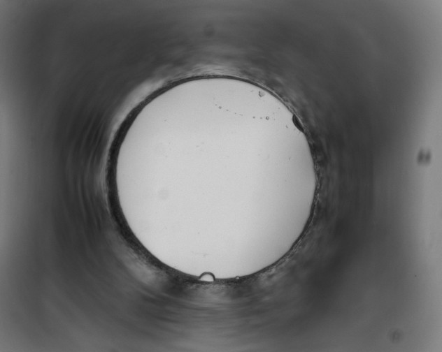 X0000100310104200807031156