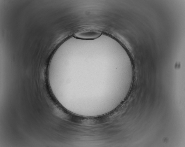 X0000100310105200807031156