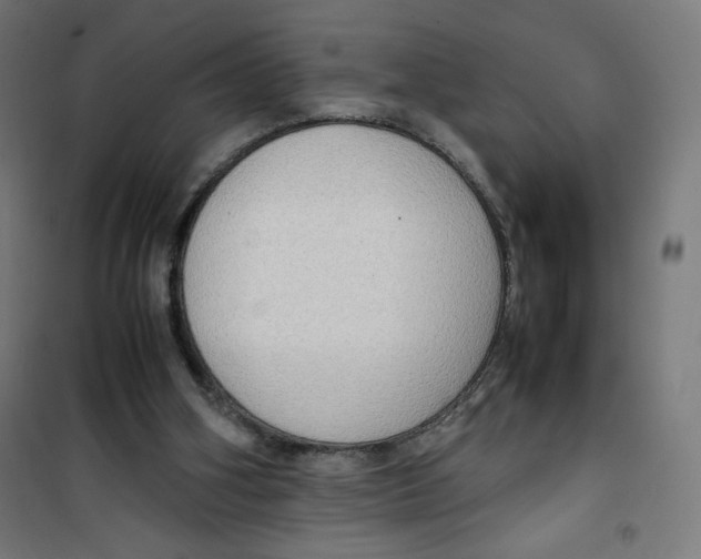 X0000100310106200807031156