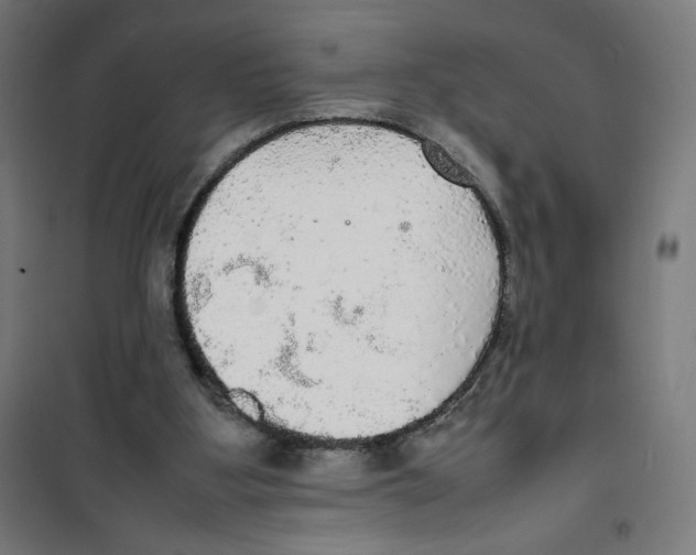 X0000100310107200807031156
