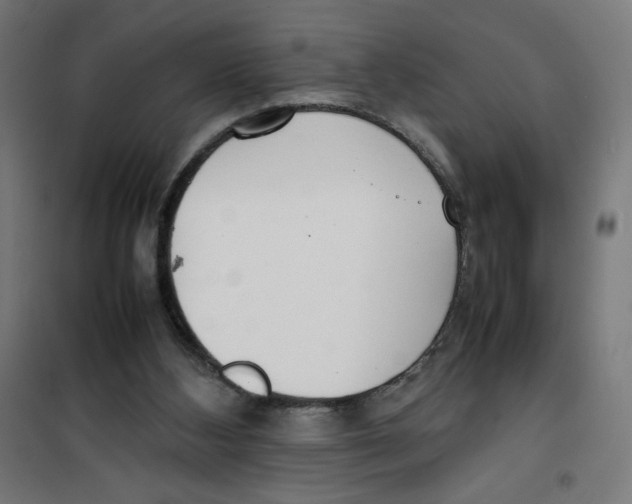 X0000100310108200807031156