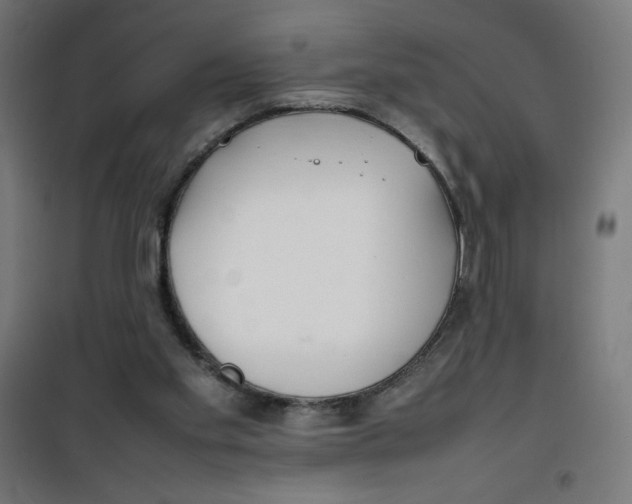 X0000100310109200807031156