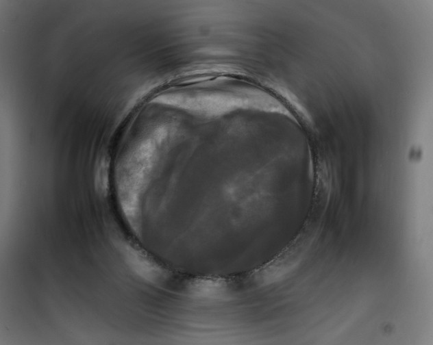 X0000100310110200807031156
