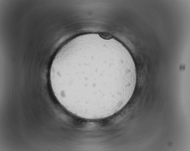 X0000100310111200807031156