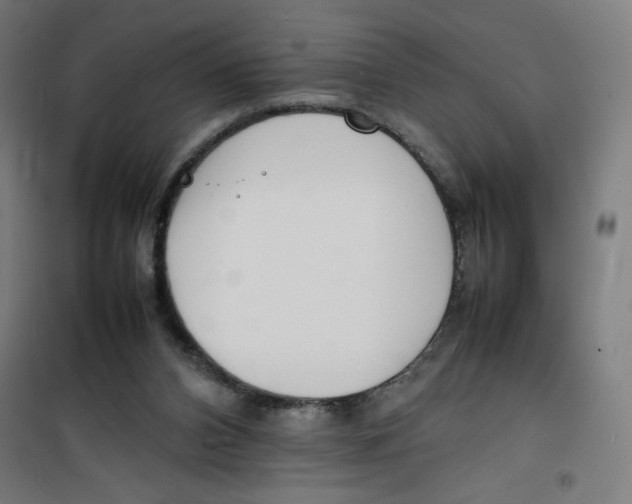 X0000100310112200807031156