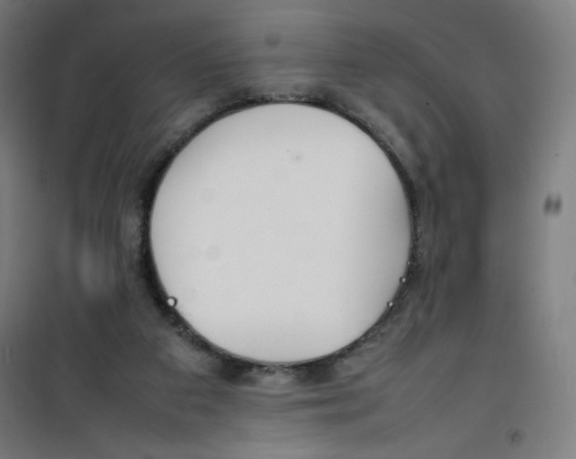 X0000100310113200807031156