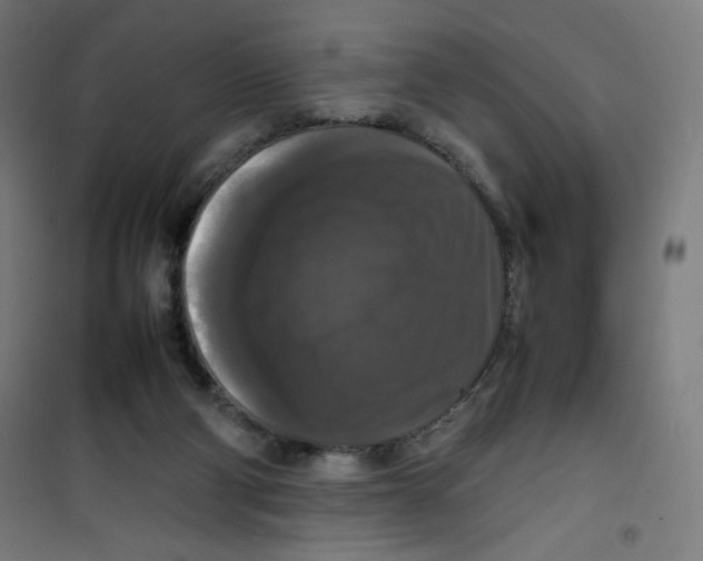 X0000100310114200807031156