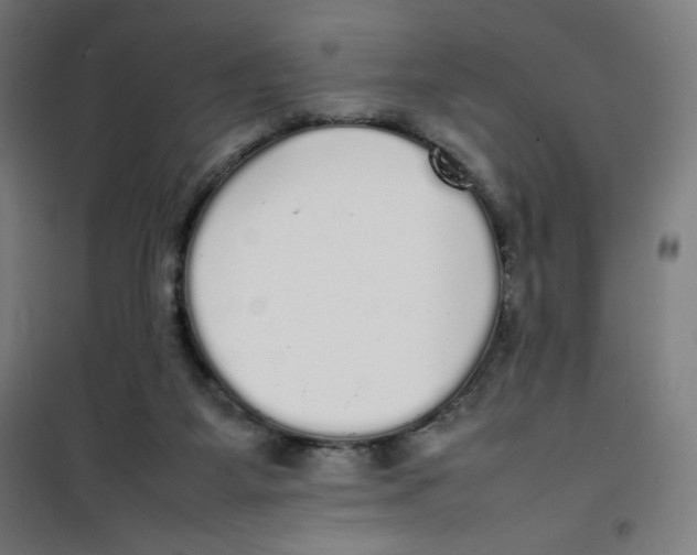 X0000100310115200807031156