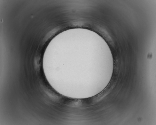 X0000100310116200807031156