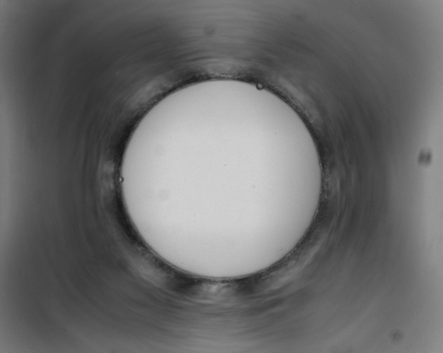 X0000100310117200807031156
