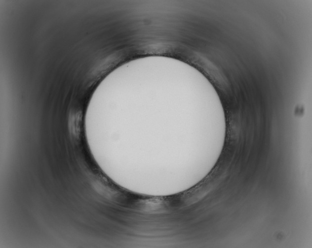 X0000100310118200807031156