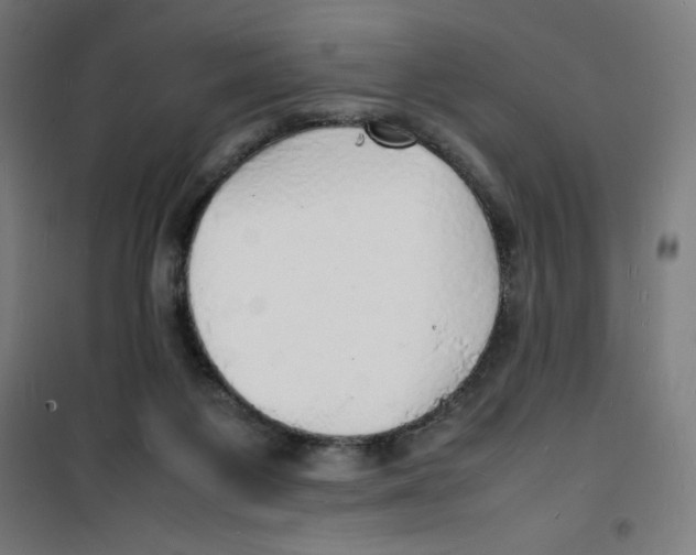 X0000100310119200807031156