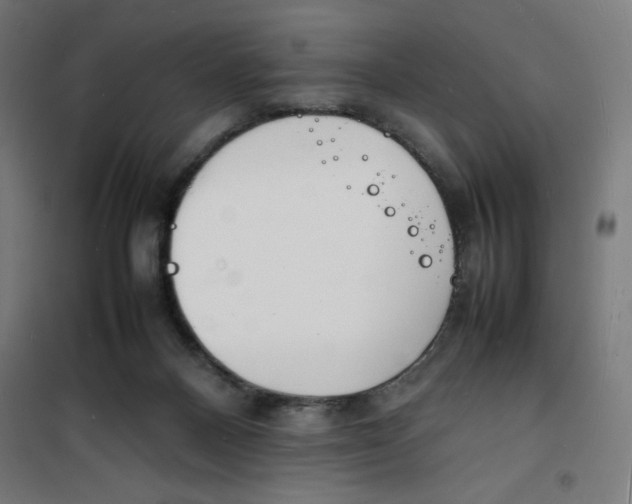 X0000100310120200807031156