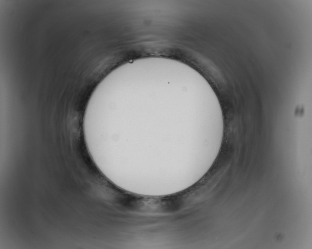 X0000100310121200807031156