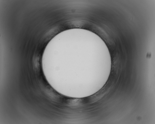 X0000100310122200807031156