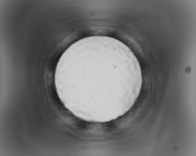 X0000100310123200807031156
