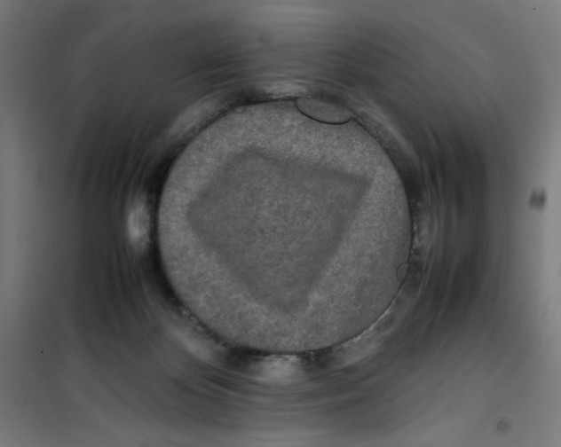 X0000100310124200807031156